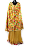 Beige Phulkari Dupatta With Multi-Color Embroidery
