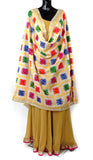 Cream Phulkari Dupatta With Multi-Color Embroidery