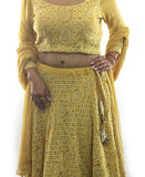 Mustard Color Chikankari Lehenga Choli With Dupatta